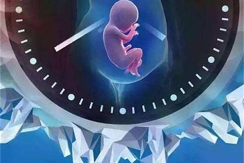 熊猫血型是什么型号